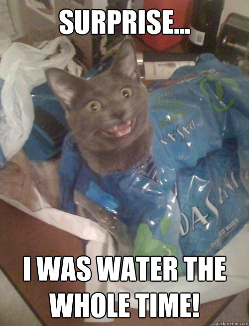 SURPRISE... I WAS WATER THE WHOLE TIME!  