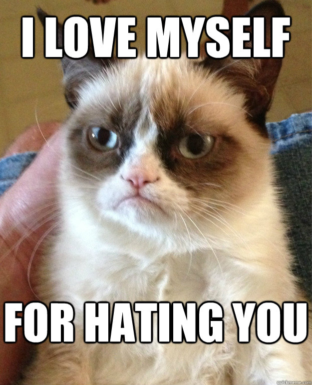 i love myself for hating you  Grumpy Cat