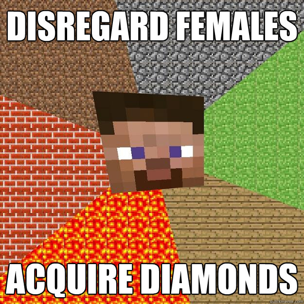 Disregard Females acquire diamonds  Minecraft