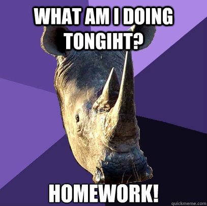 What am i doing tongiht? homework!  Sexually Oblivious Rhino