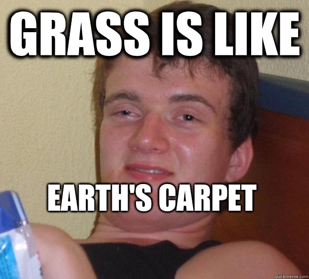 Grass is like  Earth's carpet
 - Grass is like  Earth's carpet
  10 Guy