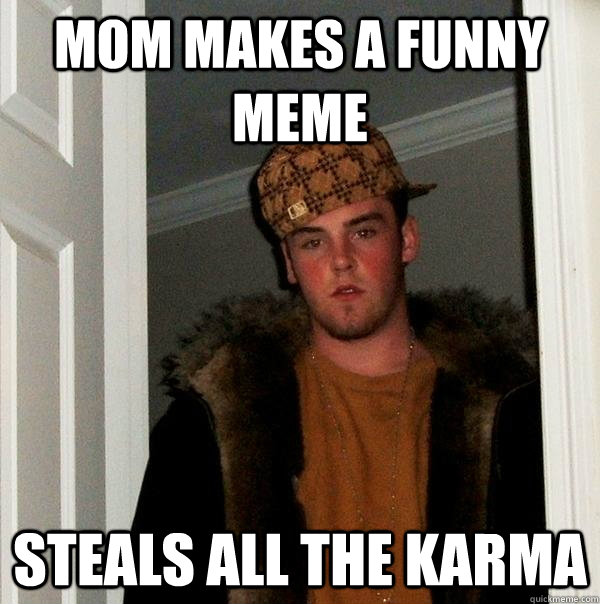 Mom Makes a funny meme steals all the karma - Mom Makes a funny meme steals all the karma  Scumbag Steve