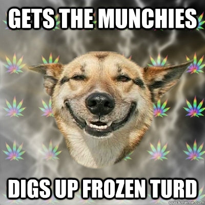 Gets the munchies  Digs up frozen turd   Stoner Dog