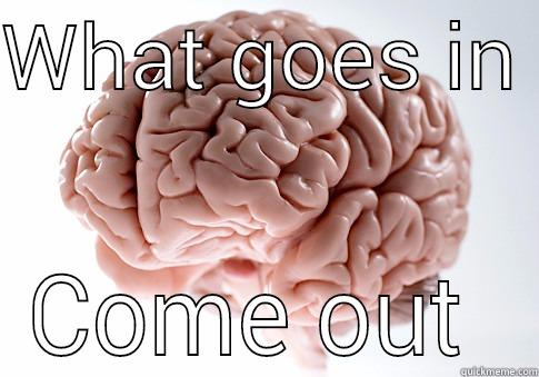 WHAT GOES IN  COME OUT  Scumbag Brain