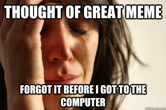 Thought of great meme forgot it before i got to the computer  First World Problems