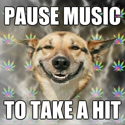 Pause music to take a hit  Stoner Dog