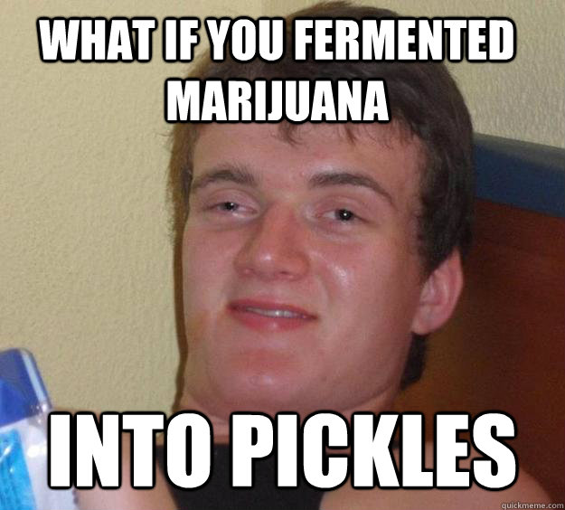 What if you fermented marijuana   Into pickles - What if you fermented marijuana   Into pickles  10 Guy