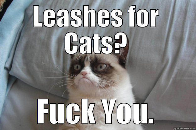 Active Cat - LEASHES FOR CATS? FUCK YOU. Grumpy Cat