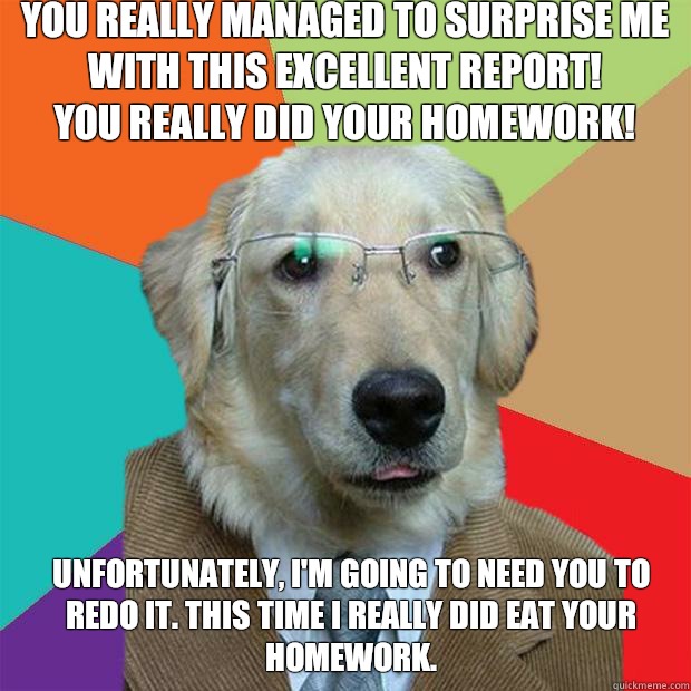 You really managed to surprise me with this excellent report!
You really did your homework! Unfortunately, I'm going to need you to redo it. This time I really did eat your homework.  Business Dog