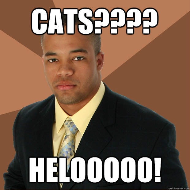 cats???? helooooo! - cats???? helooooo!  Successful Black Man