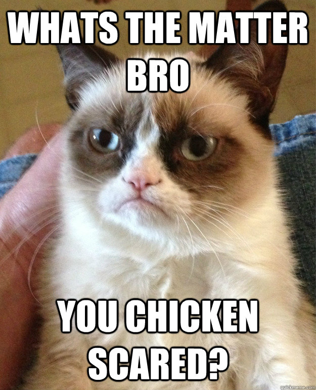 Whats the matter bro you chicken scared? - Whats the matter bro you chicken scared?  Grumpy Cat