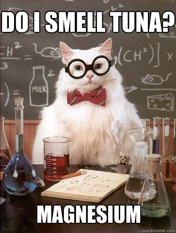 DO I SMELL TUNA? MAGNESIUM  Chemistry Cat