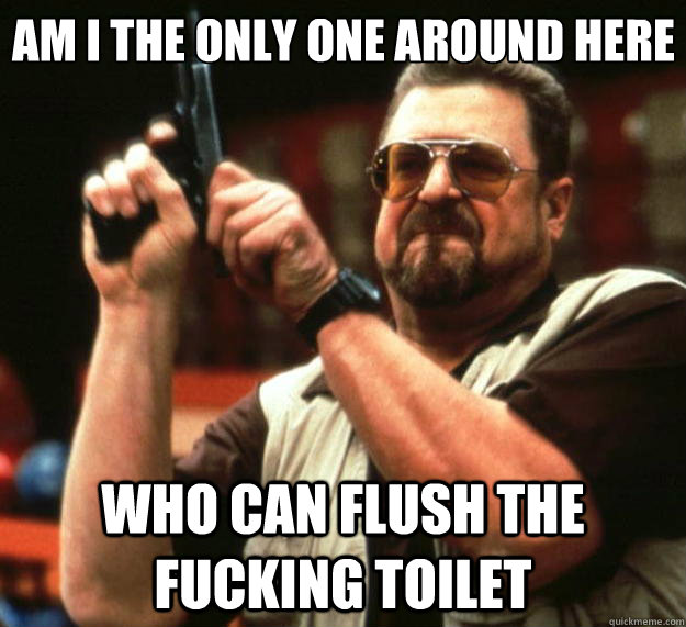 Am I the only one around here Who can flush the fucking toilet  Big Lebowski