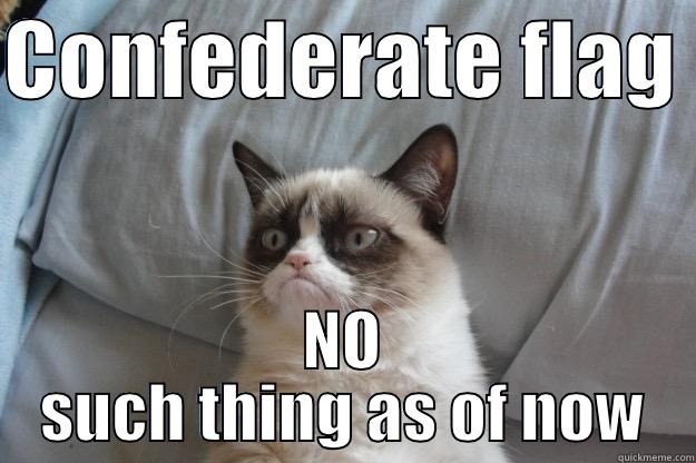 CONFEDERATE FLAG  NO SUCH THING AS OF NOW Grumpy Cat