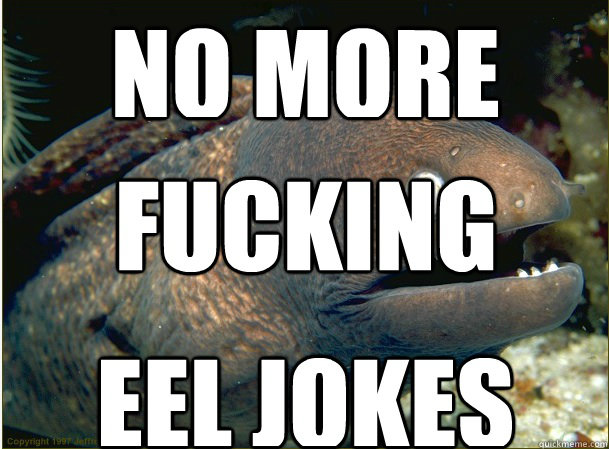    Bad Joke Eel