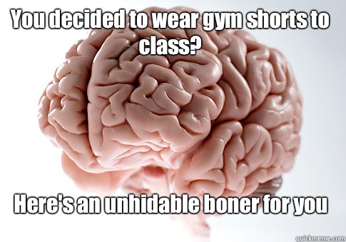 You decided to wear gym shorts to class? Here's an unhidable boner for you  - You decided to wear gym shorts to class? Here's an unhidable boner for you   Scumbag Brain