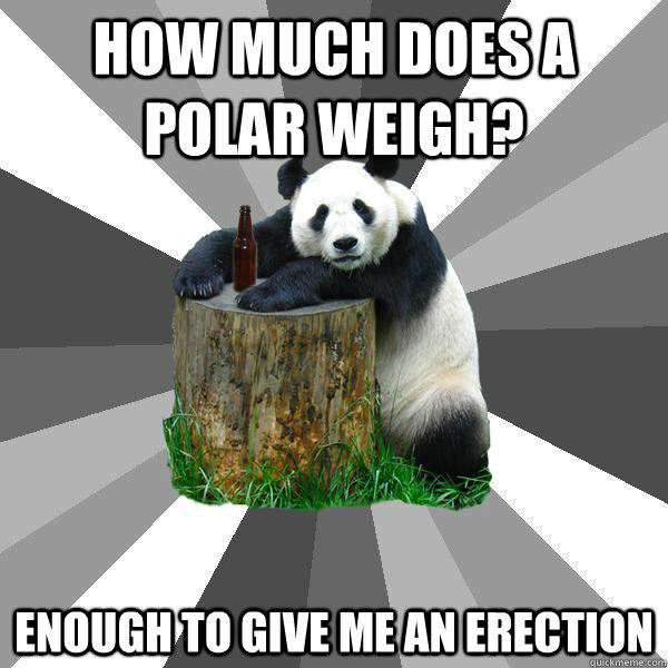 How much does a polar weigh? enough to give me an erection  Pickup-Line Panda