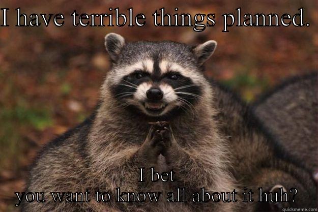 I HAVE TERRIBLE THINGS PLANNED.  I BET YOU WANT TO KNOW ALL ABOUT IT HUH? Evil Plotting Raccoon