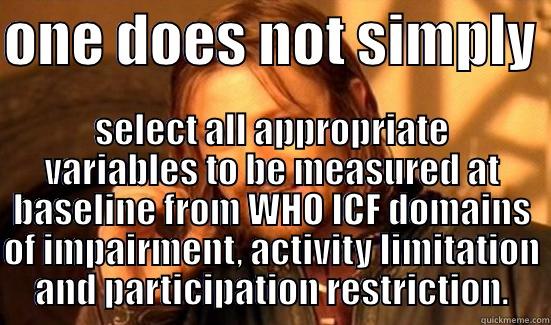 Physio feedback - ONE DOES NOT SIMPLY  SELECT ALL APPROPRIATE VARIABLES TO BE MEASURED AT BASELINE FROM WHO ICF DOMAINS OF IMPAIRMENT, ACTIVITY LIMITATION AND PARTICIPATION RESTRICTION. Boromir