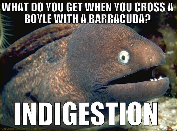 #65 BURACUDA - WHAT DO YOU GET WHEN YOU CROSS A BOYLE WITH A BARRACUDA? INDIGESTION Bad Joke Eel