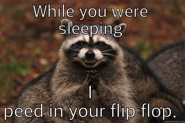 WHILE YOU WERE SLEEPING I PEED IN YOUR FLIP FLOP. Evil Plotting Raccoon