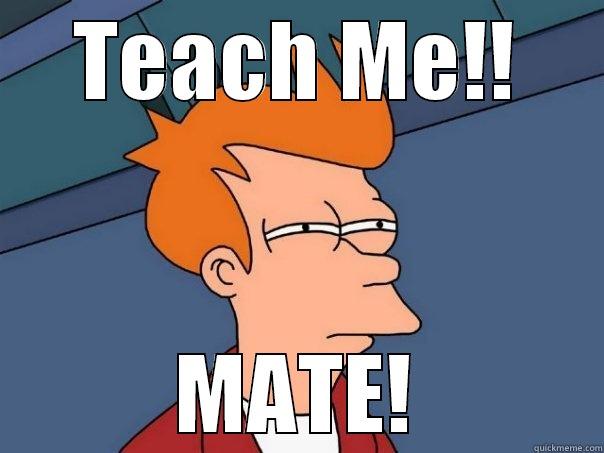 TEACH ME!! MATE! Futurama Fry