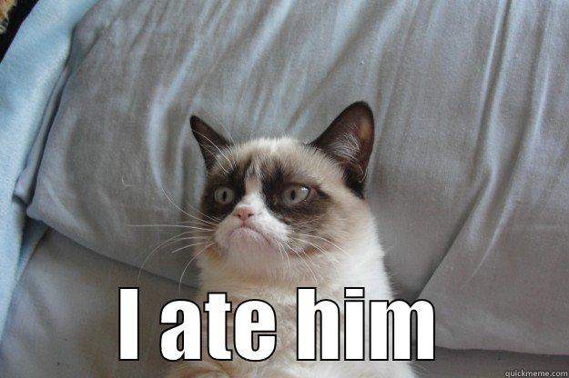 A little bird told me it was your 1st Anniversary. -  I ATE HIM Grumpy Cat