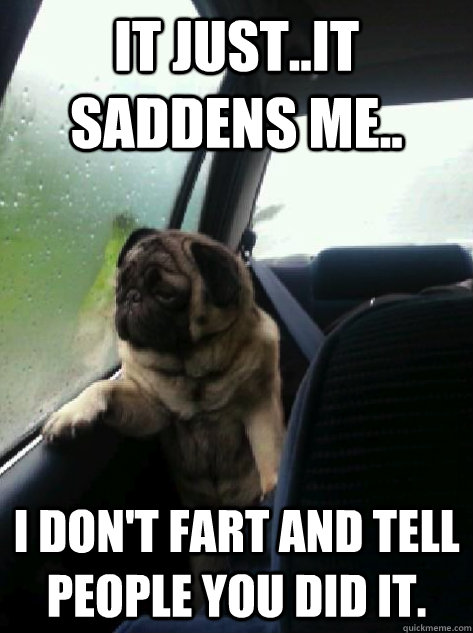 It just..it saddens me.. I don't fart and tell people you did it.  Introspective Pug