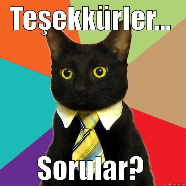 TEŞEKKÜRLER... SORULAR? Business Cat