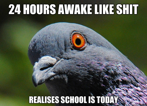 24 hours awake like shit realises school is today  