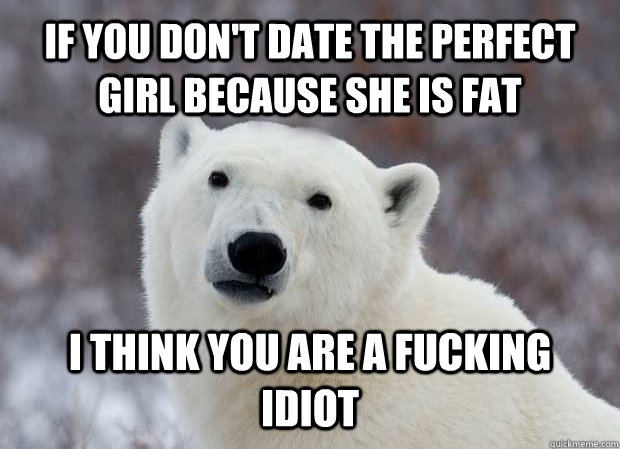 If you don't date the perfect girl because she is fat I think you are a fucking idiot  Popular Opinion Polar Bear