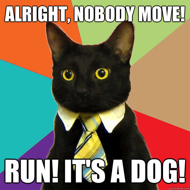 Alright, nobody move! RUN! IT'S A DOG!  Business Cat