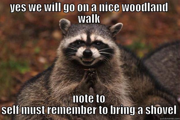 woodland walk - YES WE WILL GO ON A NICE WOODLAND WALK NOTE TO SELF MUST REMEMBER TO BRING A SHOVEL Evil Plotting Raccoon