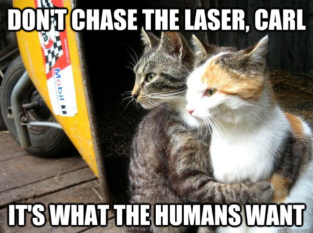 Don't chase the laser, carl It's what the humans want  