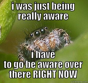 I WAS JUST BEING REALLY AWARE I HAVE TO GO BE AWARE OVER THERE RIGHT NOW Misunderstood Spider