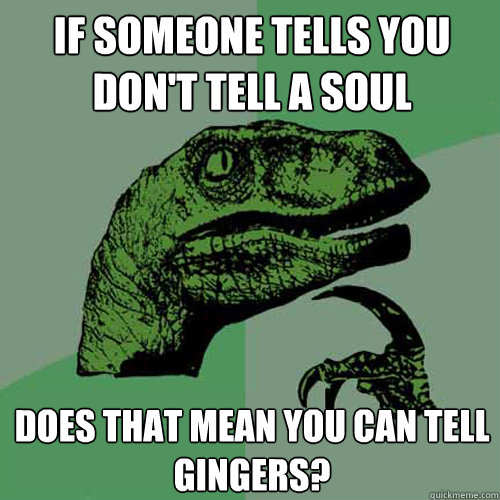 IF SOMEONE TELLS YOU DON'T TELL A SOUL DOES THAT MEAN YOU CAN TELL GINGERS?  Philosoraptor