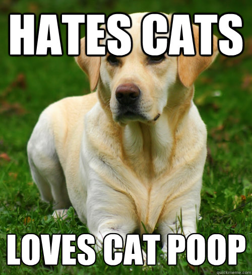 Hates cats Loves cat poop - Hates cats Loves cat poop  Dog Logic