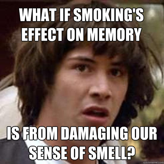 What if smoking's effect on memory  Is from damaging our sense of smell?   conspiracy keanu