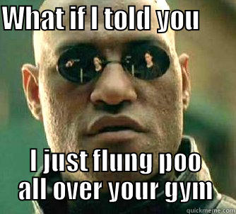 WHAT IF I TOLD YOU        I JUST FLUNG POO ALL OVER YOUR GYM Matrix Morpheus