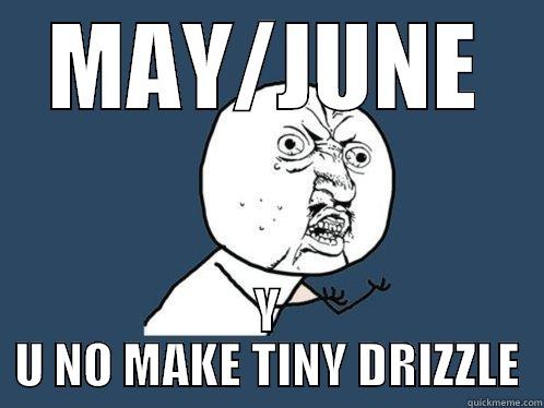 MAY/JUNE Y U NO MAKE TINY DRIZZLE Y U No