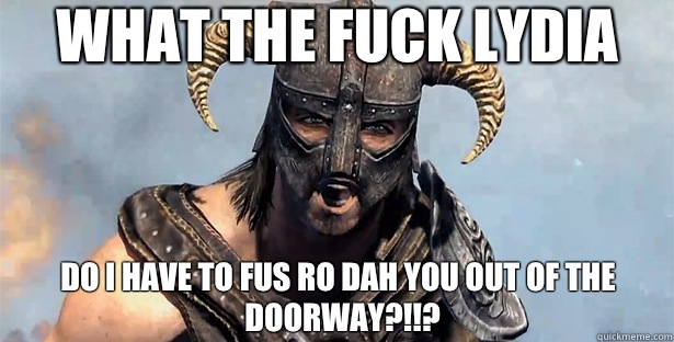 What the fuck lydia Do i have to FUS RO DAH you out of the doorway?!!?  skyrim