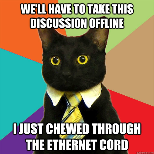 We'll have to take this discussion offline I just chewed through the ethernet cord  Business Cat