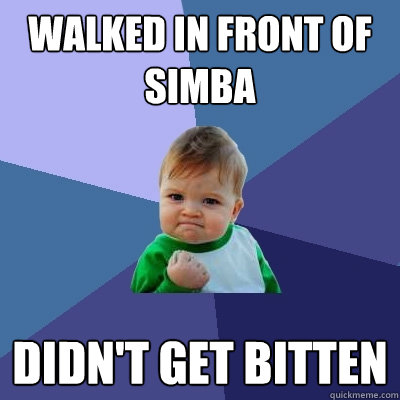 Walked in front of simba didn't get bitten  Success Kid