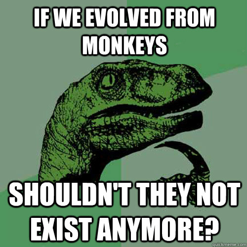 if we evolved from monkeys shouldn't they not exist anymore? - if we evolved from monkeys shouldn't they not exist anymore?  Philosoraptor