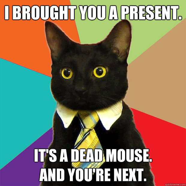 I brought you a present. It's a dead mouse. 
And you're next.   Business Cat