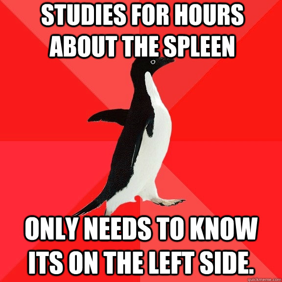 Studies for hours about the spleen Only needs to know its on the left side.  Socially Awesome Penguin