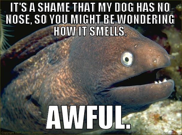 IT'S A SHAME THAT MY DOG HAS NO NOSE, SO YOU MIGHT BE WONDERING HOW IT SMELLS. AWFUL. Bad Joke Eel