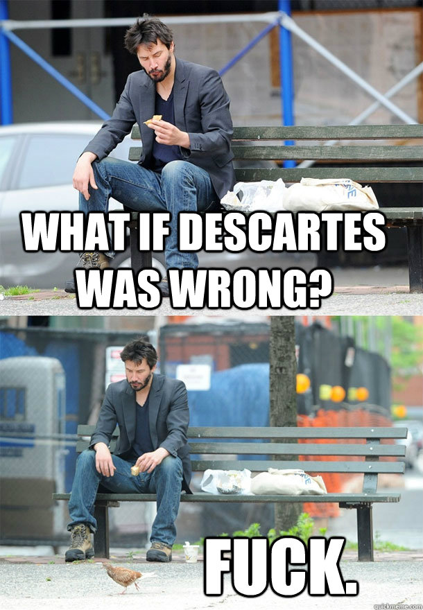 what if Descartes was wrong? fuck.  Sad Keanu