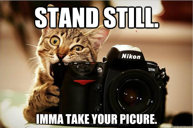 Stand Still. 
imma take your picure.  Camera Cat