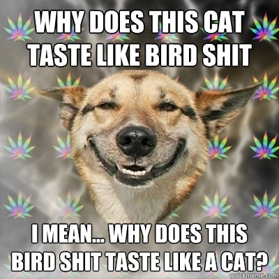 why does this cat taste like bird shit I mean... why does this bird shit taste like a cat?  Stoner Dog